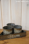 FZH705 BLOOM TRAY&3P